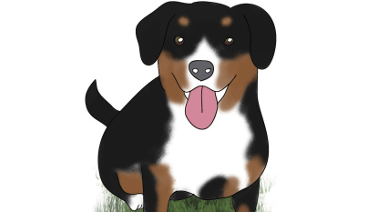 Hund