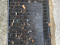 Ein Gullydeckel voller Zigarettenkippen